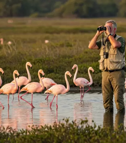 Las aves migratorias nos recuerdan que todos compartimos el mismo cielo.