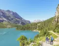 Ruta alpina, Suiza