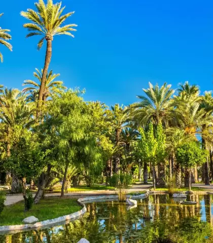 Palmeral de Elche