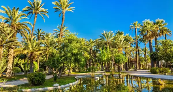 Palmeral de Elche