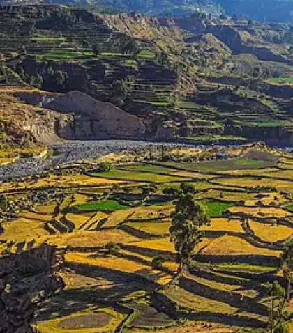 Valle del Colca, Per�