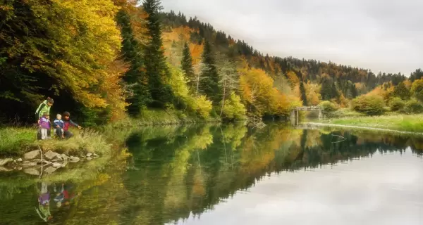 La Selva de Irati, en Navarra, es uno de los hayedos m�s grandes de Europa.