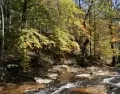 El Parque Natural del Montseny, uno de los grandes tesoros naturales de Catalu�a.
