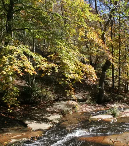 El Parque Natural del Montseny, uno de los grandes tesoros naturales de Catalu�a.