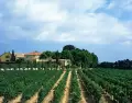 El Pened�s, coraz�n del cava catal�n y una de las rutas del vino m�s reconocidas de Espa�a.
