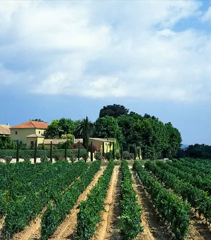 El Pened�s, coraz�n del cava catal�n y una de las rutas del vino m�s reconocidas de Espa�a.