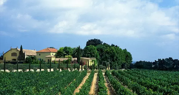 El Pened�s, coraz�n del cava catal�n y una de las rutas del vino m�s reconocidas de Espa�a.