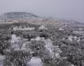 Murcia combina huerta, ciudad y costa durante el invierno.