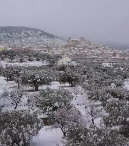Murcia combina huerta, ciudad y costa durante el invierno.