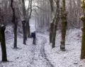 El invierno ofrece paisajes silenciosos ideales para la introspecci�n.