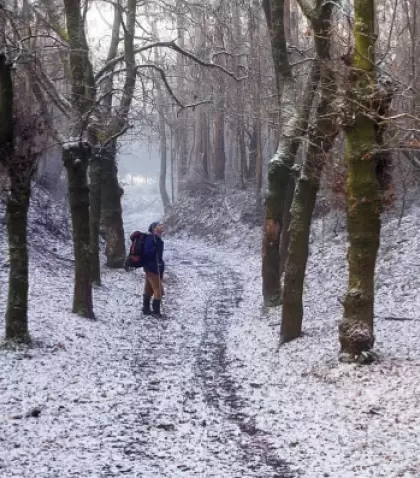 El invierno ofrece paisajes silenciosos ideales para la introspecci�n.