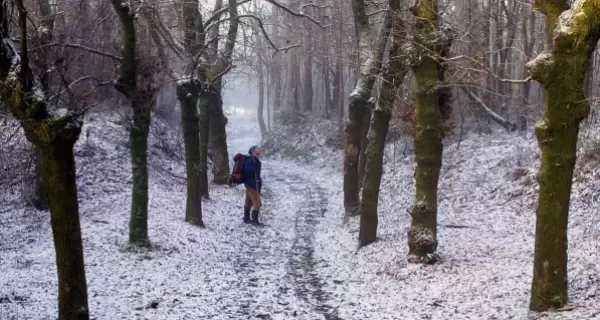 El invierno ofrece paisajes silenciosos ideales para la introspecci�n.