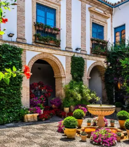 Los patios comienzan a prepararse para la primavera.