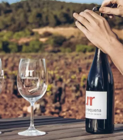 El paisaje vitivin�cola define el entorno de Requena.