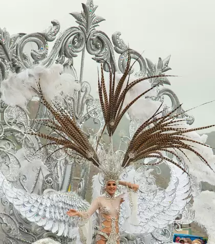 El Carnaval de Tenerife transforma Santa Cruz en un espect�culo de color y m�sica.