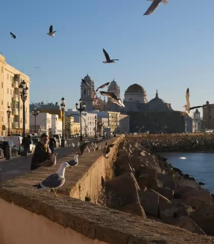 Campo del Sur con la Catedral de C�diz al fondo y el Atl�ntico al atardecer.