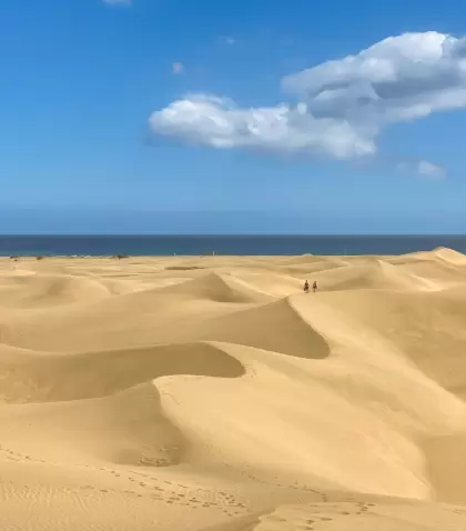 Las dunas de Palma de Mallorca, donde el Mediterr�neo se disfruta con calma antes de la temporada alta.