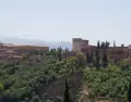 Vista de la Alhambra desde el Mirador de San Nicol�s, con Sierra Nevada nevada al fondo.