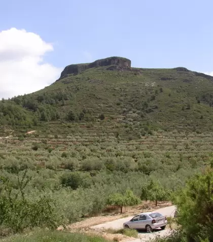 Sendero entre bosque de alcornoques en la Sierra de Espad�n.