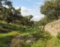 Sendero en la Sierra de Aracena rodeado de vegetaci�n verde.