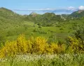 Paisaje primaveral en Espa�a.