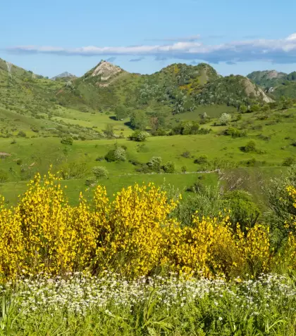 Paisaje primaveral en Espa�a.