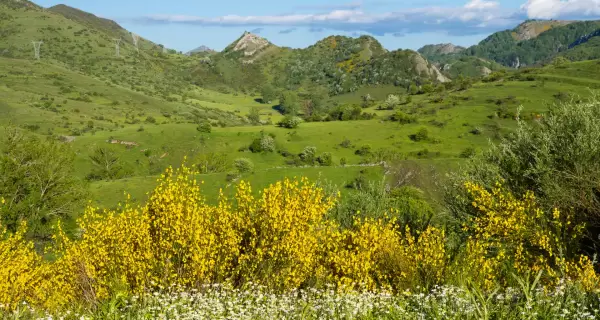 Paisaje primaveral en Espa�a.