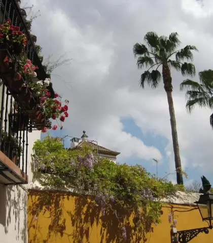 Calle del Barrio de Santa Cruz.