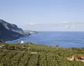 En Tenerife, abril revela su contraste: sur soleado y norte verde conviven en un mismo paisaje.