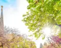 En Barcelona, mayo combina sol, temperaturas agradables y lluvias puntuales que no frenan el viaje.