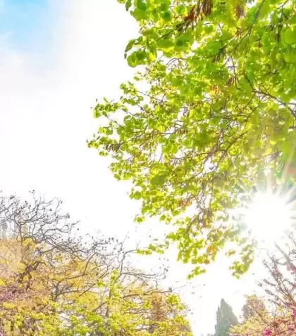 En Barcelona, mayo combina sol, temperaturas agradables y lluvias puntuales que no frenan el viaje.