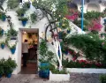 Color, patios en flor y ambiente �nico: mayo muestra la cara m�s vibrante de C�rdoba.