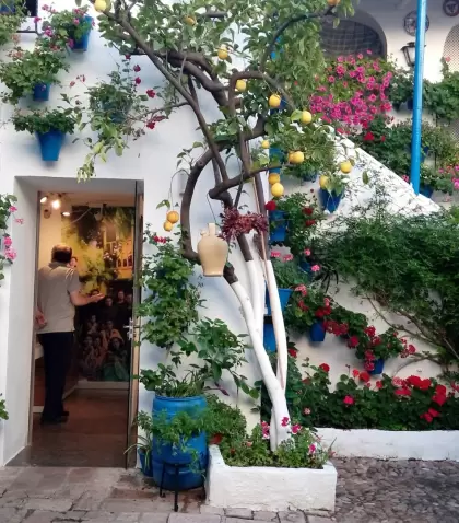 Color, patios en flor y ambiente �nico: mayo muestra la cara m�s vibrante de C�rdoba.