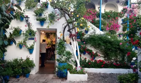 Color, patios en flor y ambiente �nico: mayo muestra la cara m�s vibrante de C�rdoba.