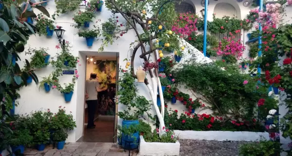 Color, patios en flor y ambiente �nico: mayo muestra la cara m�s vibrante de C�rdoba.