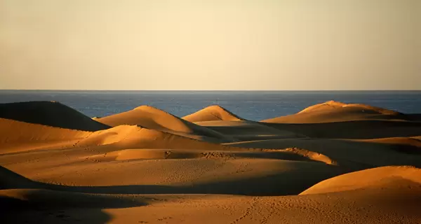 Maspalomas en mayo: dunas, playas y clima ideal antes del verano fuerte.