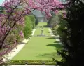 Vista del Campo del Moro, uno de los grandes respiros verdes de Madrid en primavera.