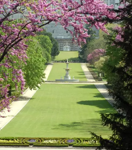 Vista del Campo del Moro, uno de los grandes respiros verdes de Madrid en primavera.