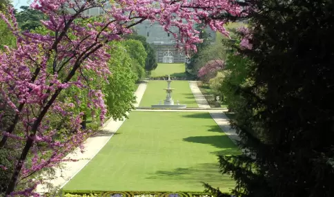 Vista del Campo del Moro, uno de los grandes respiros verdes de Madrid en primavera.