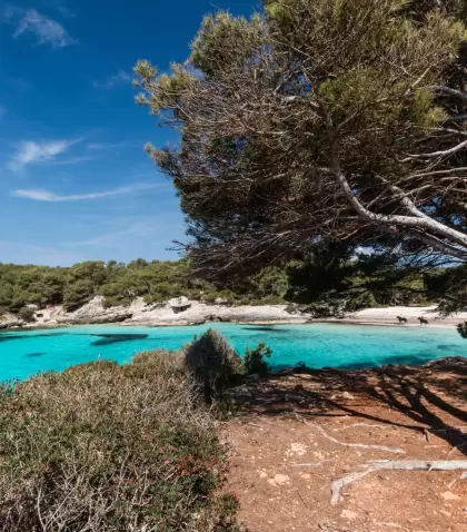 Las calas todav�a ofrecen espacio antes de la llegada masiva de turistas.
