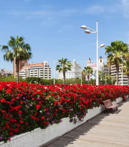 Antes del verano fuerte, Valencia combina calor, color y mucho espacio.