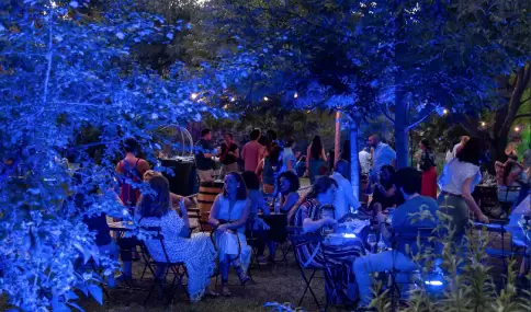 Noches del Bot�nico en julio en Madrid con conciertos al aire libre, calor de verano y p�blico en el jard�n.