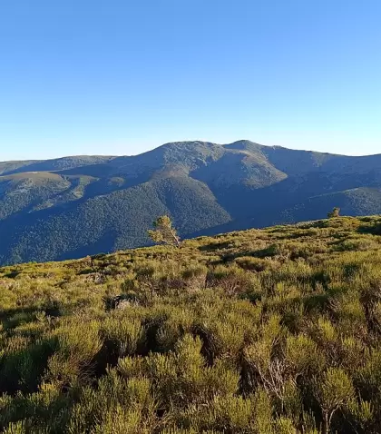 Las monta�as y pinares de la Sierra de Guadarrama ofrecen uno de los respiros m�s buscados por quienes quieren escapar del calor madrile�o.