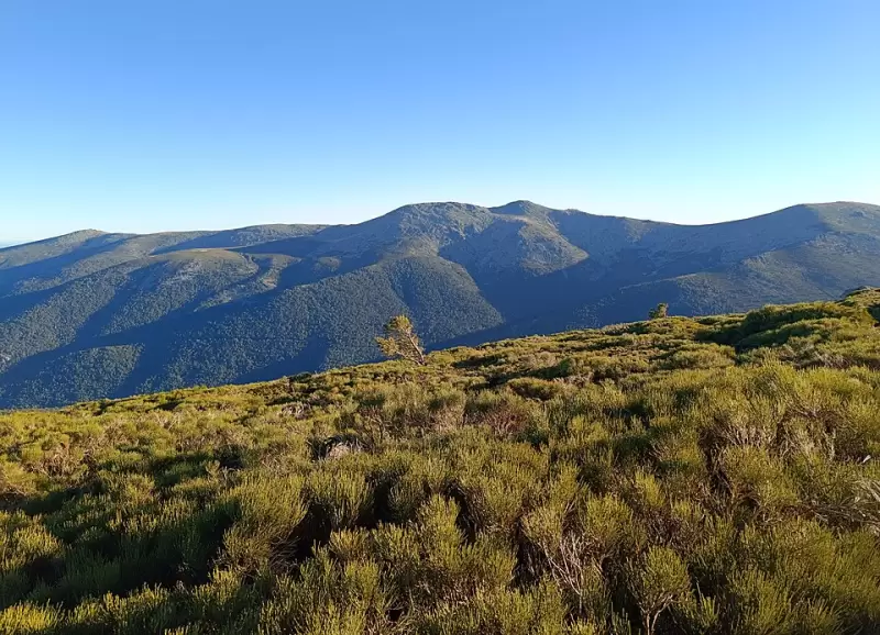 Las monta�as y pinares de la Sierra de Guadarrama ofrecen uno de los respiros m�s buscados por quienes quieren escapar del calor madrile�o.
